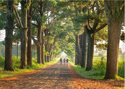 1566864508208188.png image.png