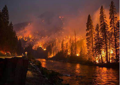 1567070011164069.png image.png