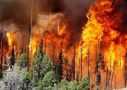 1567070025159894.png image.png